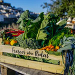 Rede Alimentar de Mértola